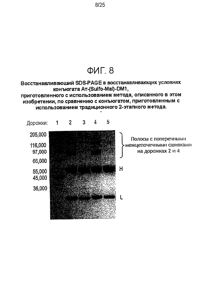 Способы конъюгации (патент 2595424)