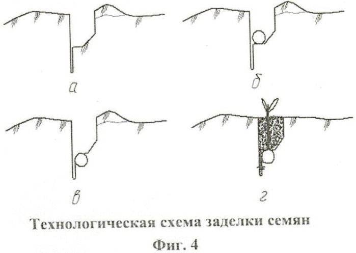 Комбинированный дисковый сошник зерновой сеялки (патент 2483517)