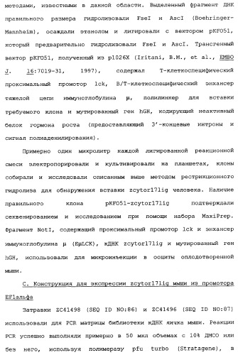 Новый лиганд рецептора цитокина zcytor17 (патент 2360923)