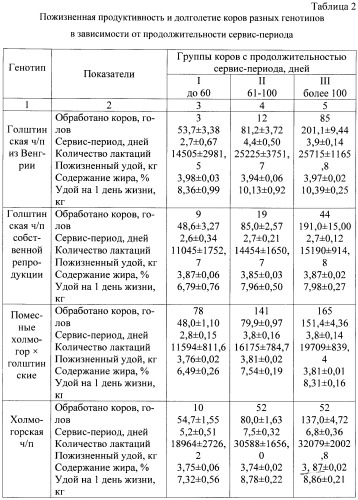 Способ воспроизводства высокопродуктивного стада коров (патент 2441371)