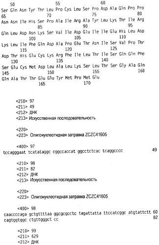 Новый лиганд рецептора цитокина zcytor17 (патент 2490276)