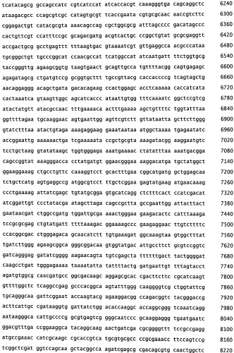 Рекомбинантная вакцина от птичьего гриппа и её применение (патент 2559527)