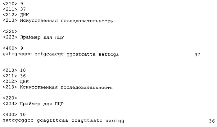 Клетка микроорганизма, плазмидный вектор, способ создания клетки микроорганизма и способ получения l-метионина (патент 2280687)