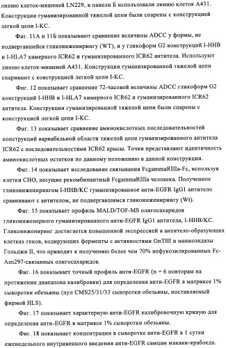 Антигенсвязывающие молекулы, которые связывают рецептор эпидермального фактора роста (egfr), кодирующие их векторы и их применение (патент 2457219)