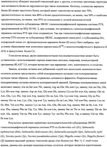 Мутантная iib/iic субъединица глюкозоспецифической пермеазы системы pts, фрагмент днк, бактерия, принадлежащая к роду escherichia, - продуцент l-треонина и способ получения l-треонина (патент 2335536)