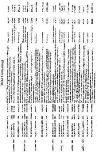 Гены corynebacterium glutamicum, кодирующие белки, участвующие в синтезе мембран и мембранном транспорте (патент 2312145)