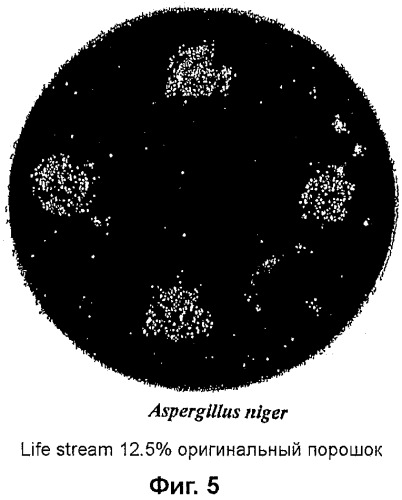 Композиции на основе arthrospira и их применение (патент 2412990)