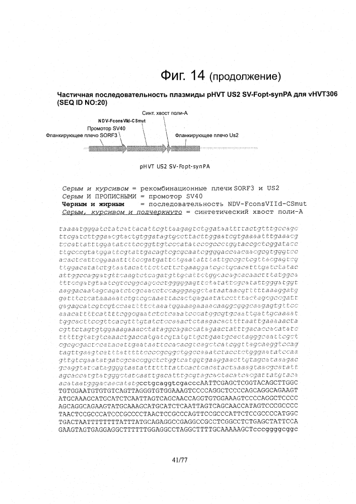 Рекомбинантные векторы hvt, экспрессирующие антигены патогенов птиц и их применение (патент 2620936)