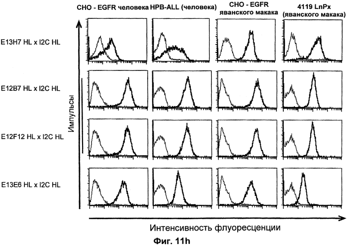 Cd3-эпсилон-связывающий домен с межвидовой специфичностью (патент 2561457)