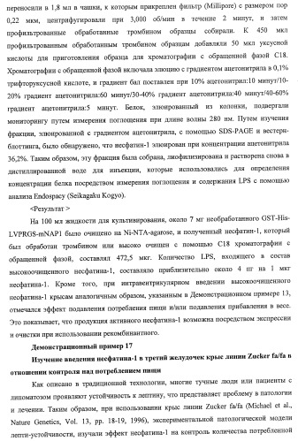 Способ получения фактора, связанного с контролем над потреблением пищи и/или массой тела, полипептид, обладающий активностью подавления потребления пищи и/или прибавления в весе, молекула нуклеиновой кислоты, кодирующая полипептид, способы и применение полипептида (патент 2418002)