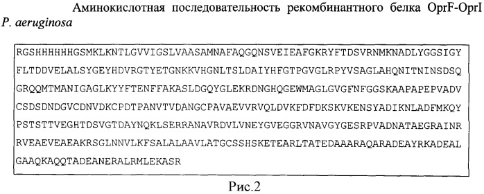 Рекомбинантная плазмидная днк ppa-oprfi, кодирующая гибридный рекомбинантный белок f-i наружной мембраны pseudomonas aeruginosa, штамм escherichia coli pa-oprfi-продуцент гибридного рекомбинантного белка f-i наружной мембраны pseudomonas aeruginosa и способ получения гибридного рекомбинантного белка f-i наружной мембраны pseudomonas aeruginosa (патент 2537006)