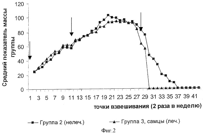 Способ продления жизни больных прионными болезнями (патент 2353379)