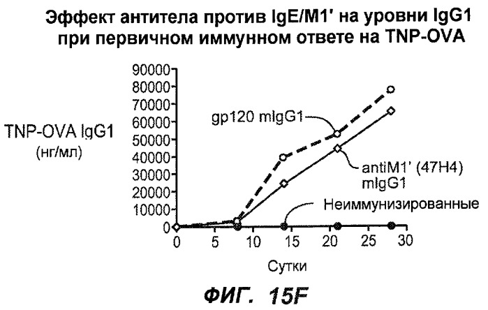 Апоптотические антитела против ige (патент 2500686)