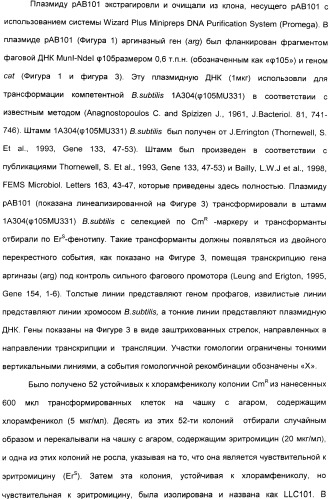 Фармацевтический препарат и способ лечения злокачественных опухолей у человека с помощью аргининовой депривации (патент 2335539)