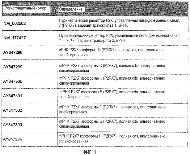 Способы и композиции для ингибирования экспрессии рецептора p2х7 (патент 2410430)