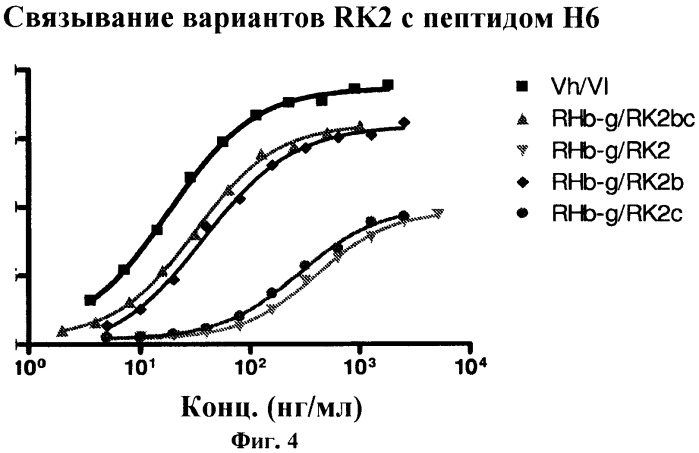 Антитела против вируса гепатита с (патент 2462475)