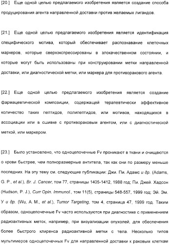 Специфические антитела человека для избирательной терапии рака (патент 2316564)