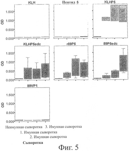 Гипоаллергенный слитый белок, молекула нуклеиновой кислоты, кодирующая его, вектор экспрессии, клетка-хозяин, вакцинная композиция и его применение (патент 2486206)