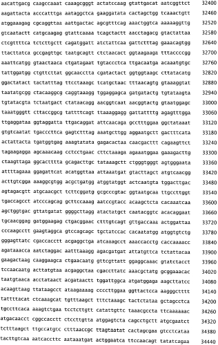 Бактериофаг, обладающий активностью против pseudomonas aeruginosa, белки бактериофага и способы их применения (патент 2580248)