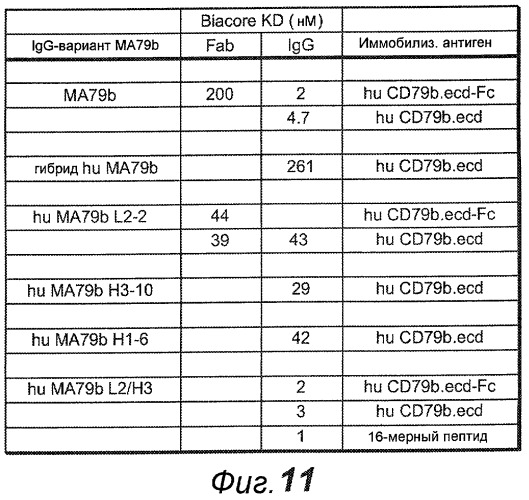 Анти-cd79b антитела и иммуноконъюгаты и способы их применения (патент 2511410)