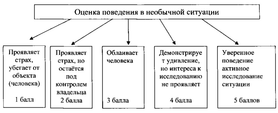 Способ определения рабочих качеств служебных собак (патент 2621382)