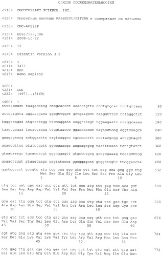 Эпитопные пептиды rab6kifl/kif20a и содержащие их вакцины (патент 2532105)