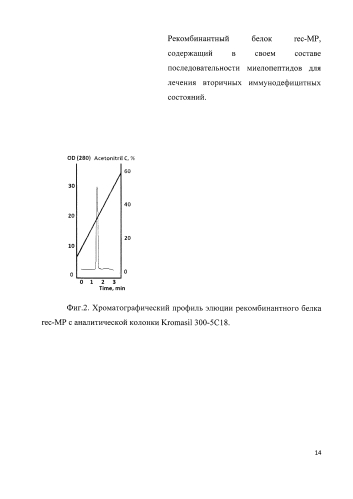 Рекомбинантный белок rec-mp, содержащий в своем составе последовательности миелопептидов для лечения вторичных иммунодефицитных состояний (патент 2585494)