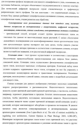 Изолированные полипептиды, кодирующие их полинуклеотиды, экспрессирующие их трансгенные растения и способы их использования (патент 2425151)