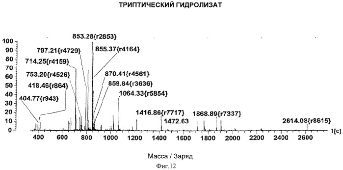 Ингибиторы протеазы вируса гепатита с и их применение (патент 2515318)