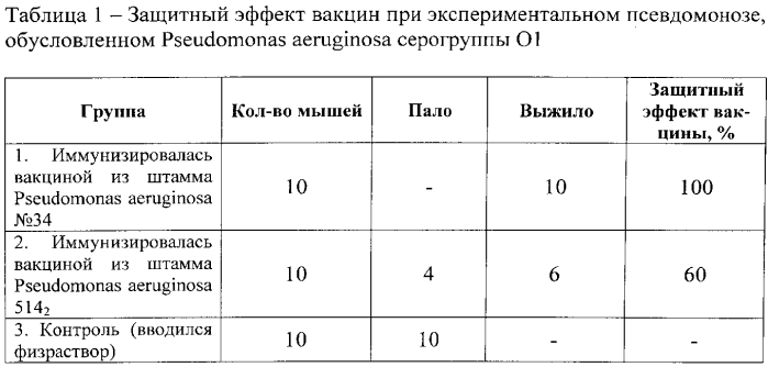 Штамм бактерий pseudomonas aeruginosa для изготовления вакцины против псевдомоноза свиней (патент 2553553)