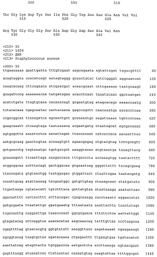 Иммуногенные композиции антигенов staphylococcus aureus (патент 2536981)