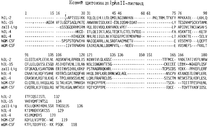 Новый цитокин zalpha11-лиганд (патент 2258710)