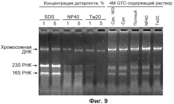 Бесконтактные способы обнаружения молекулярных колоний, наборы реагентов и устройство для их осуществления (патент 2394915)