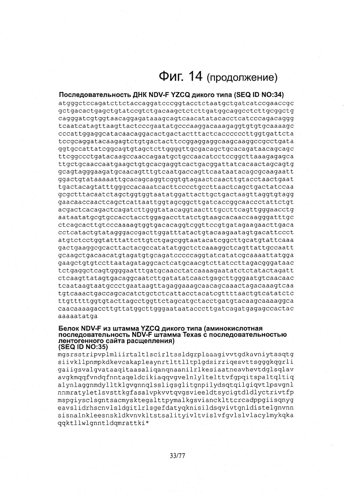 Рекомбинантные векторы hvt, экспрессирующие антигены патогенов птиц и их применение (патент 2620936)