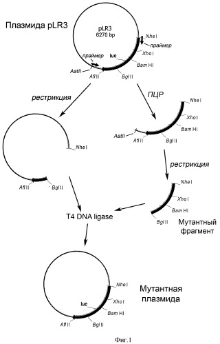 Реагент для определения аденозин-5&#39;-трифосфата (патент 2420594)