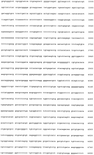 Нитрилгидратаза из rhodococcus (патент 2385932)