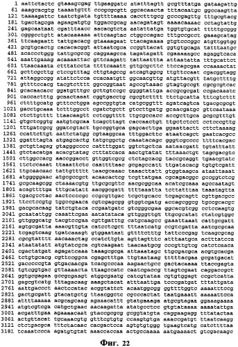 Экспонирование т-клеточных рецепторов (патент 2346004)