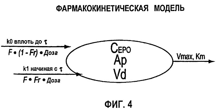 Фармакокинетическое и фармакодинамическое моделирование введения эритропоэтина (патент 2248215)