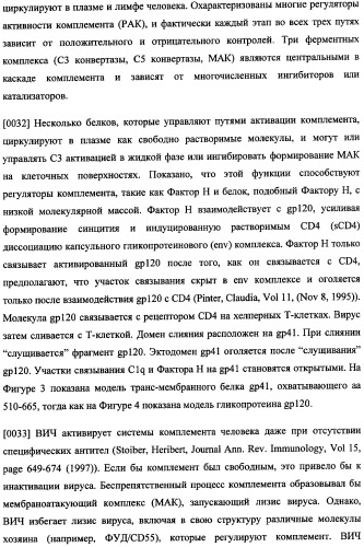 Иммуногенная композиция и способ разработки вакцины, основанной на участках связывания фактора н (патент 2364413)