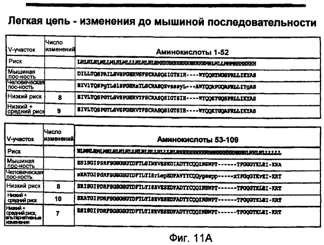 Способы профилактики и лечения ракового метастаза и разрежения кости, связанного с раковым метастазом (патент 2470665)