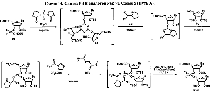 Способ синтеза модифицированных по атому фосфора нуклеиновых кислот (патент 2572826)