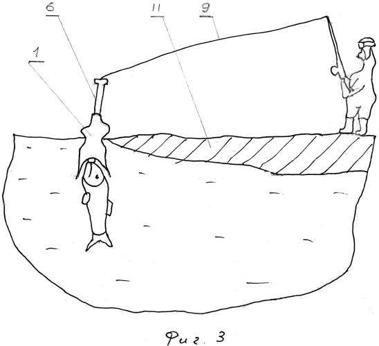 Устройство для извлечения рыбы из полыньи девяткина в.д. (патент 2561738)