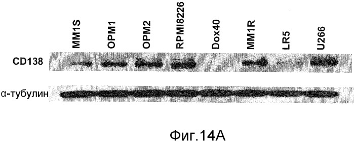 Способы улучшения направленного воздействия на cd138-экспрессирующие опухолевые клетки и агенты для их осуществления (патент 2486203)