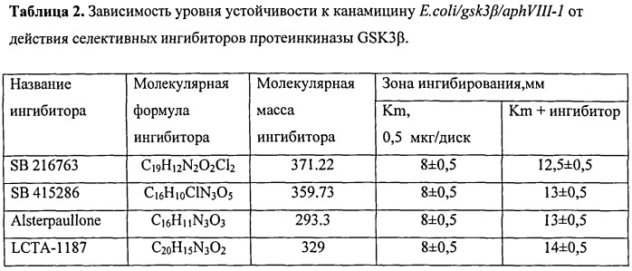 Тест-система для скрининга ингибиторов протеинкиназы gsk3β; человека (патент 2528059)