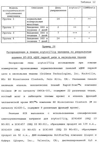 Новый лиганд рецептора цитокина zcytor17 (патент 2360923)