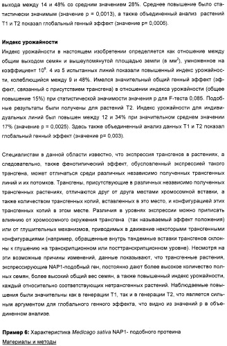 Способ повышения выхода семян растения, способ производства трансгенного растения, имеющего повышенную урожайность семян, генная конструкция для экспрессии в растении и трансгенное растение (патент 2409938)