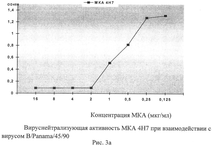 Применение моноклональных антител для идентификации ямагатской или викторианской эволюционных линий вируса гриппа типа в, штамм гибридомы 4н7 для получения моноклональных антител, предназначенных для определения вирусов гриппа в ямагатской ветви, штамм гибридомы в/4н1 для получения моноклональных антител, предназначенных для определения вирусов гриппа в викторианской ветви (патент 2491338)