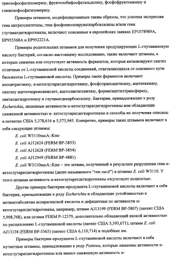 Способ получения l-треонина с использованием бактерии, принадлежащей к роду escherichia, в которой инактивирован кластер генов sfmacdfh-fimz или ген fimz (патент 2333953)