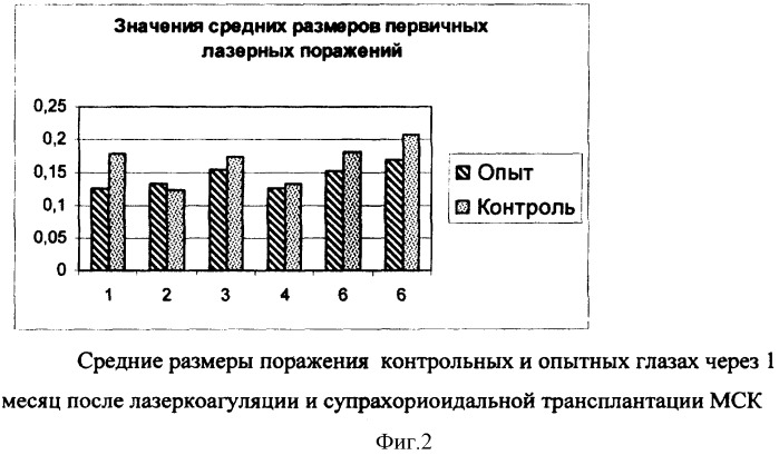 Способ повышения функциональной активности сетчатки при ее патологии различного генеза (патент 2364382)