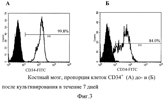 Способ увеличения количества гемопоэтических недифференцированных стволовых клеток пациента ex vivo (патент 2360965)